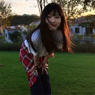 你好，树公主